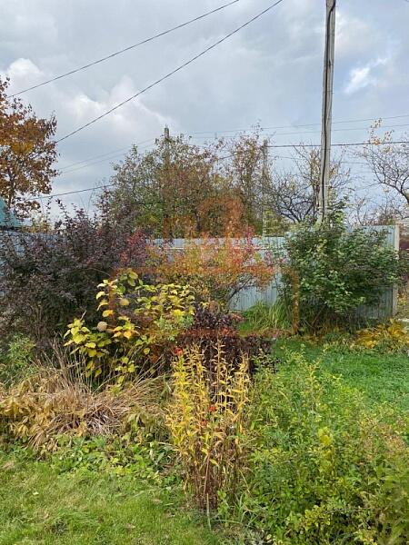 Дача / коттедж, 24 кв.м., , объект № 4846