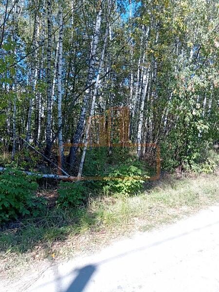 Дом с участком, 245 кв.м., , объект № 4721