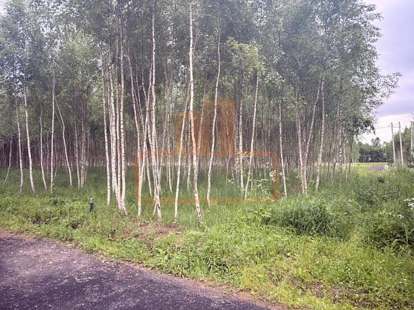 Участок , 6 сот., , объект № 4940