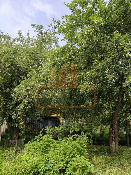 Дача / коттедж, 41 кв.м., , объект № 4789