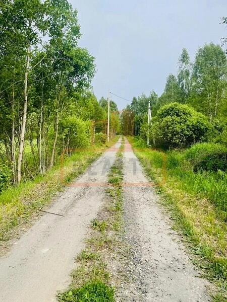 Участок , 26 сот., , объект № 4962