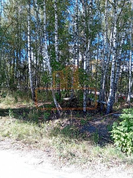 Дом с участком, 245 кв.м., , объект № 4721