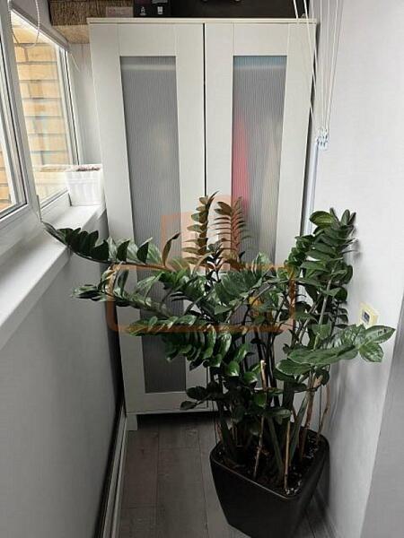 1-к квартира, 42 кв.м.,Балашиха, , объект № 4861