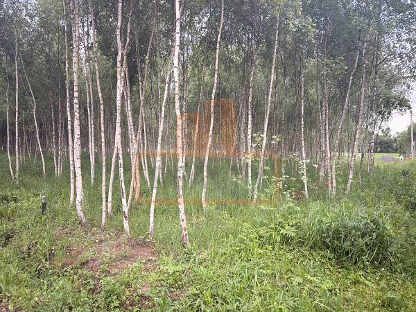 Участок , 6 сот., , объект № 4940