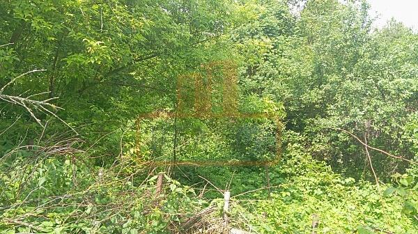 Дом, 81 кв.м., , объект № 4791