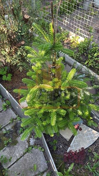 Дом, 170 кв.м., , объект № 4859