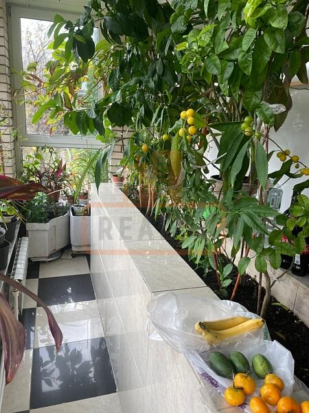 Дом, 170 кв.м., , объект № 4859