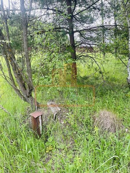 Участок , 26 сот., , объект № 4962