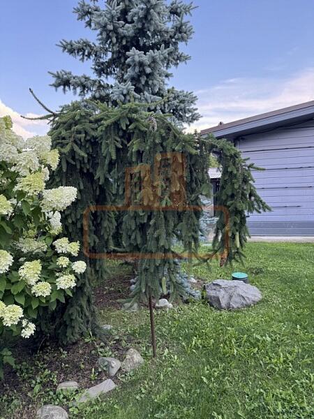 Дом, 193 кв.м., , объект № 4479