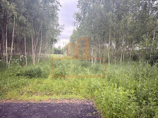 Участок , 6 сот., , объект № 4940