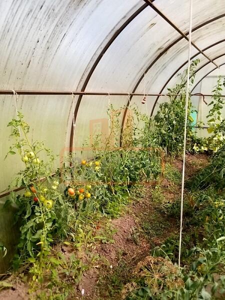 Дом, 25 кв.м., , объект № 4566