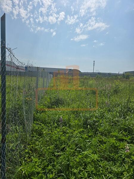 Участок , 50 сот., , объект № 4806