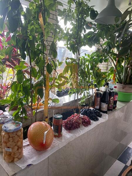 Дом, 170 кв.м., , объект № 4859