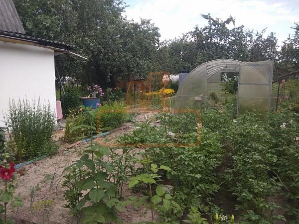 Дача / коттедж, 40 кв.м., , объект № 4590