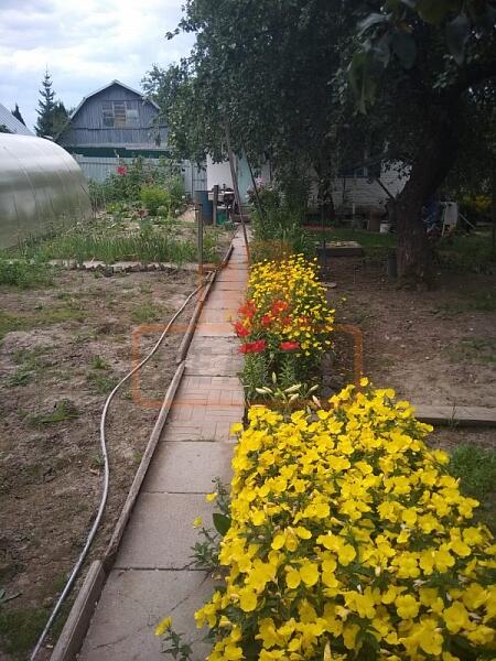 Дача / коттедж, 40 кв.м., , объект № 4590