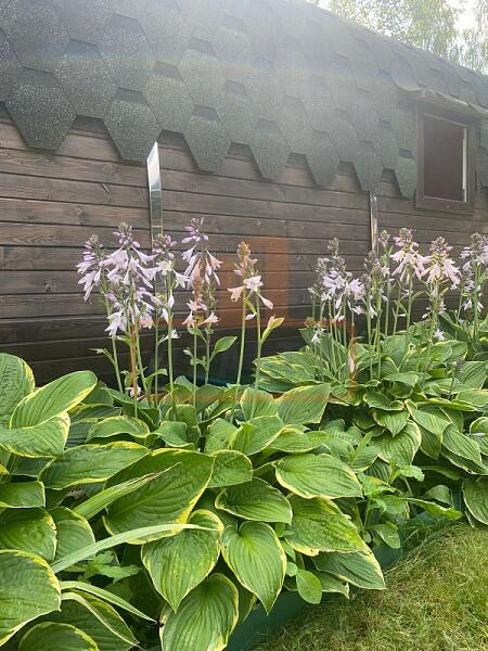 Дача / коттедж, 65 кв.м., , объект № 4850