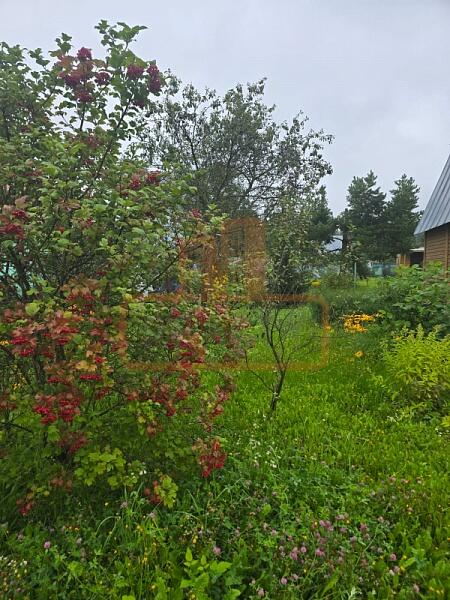 Дача / коттедж, 50 кв.м., , объект № 4828