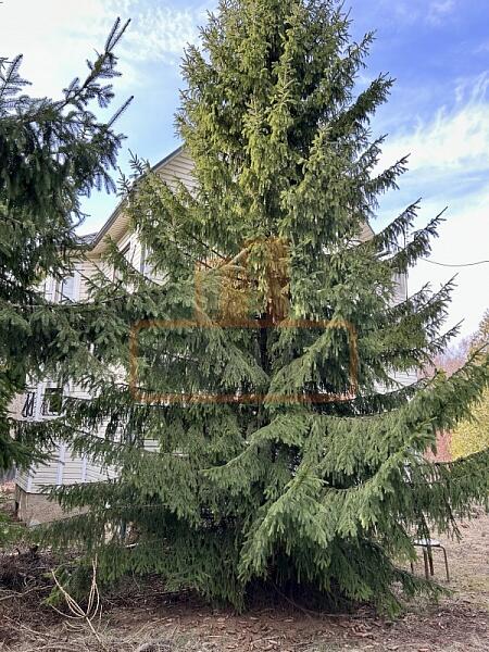 Дом, 196 кв.м., , объект № 4738 Дом, 196 кв.м., , объект № 4738